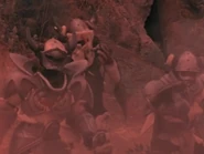 Plague Patrol