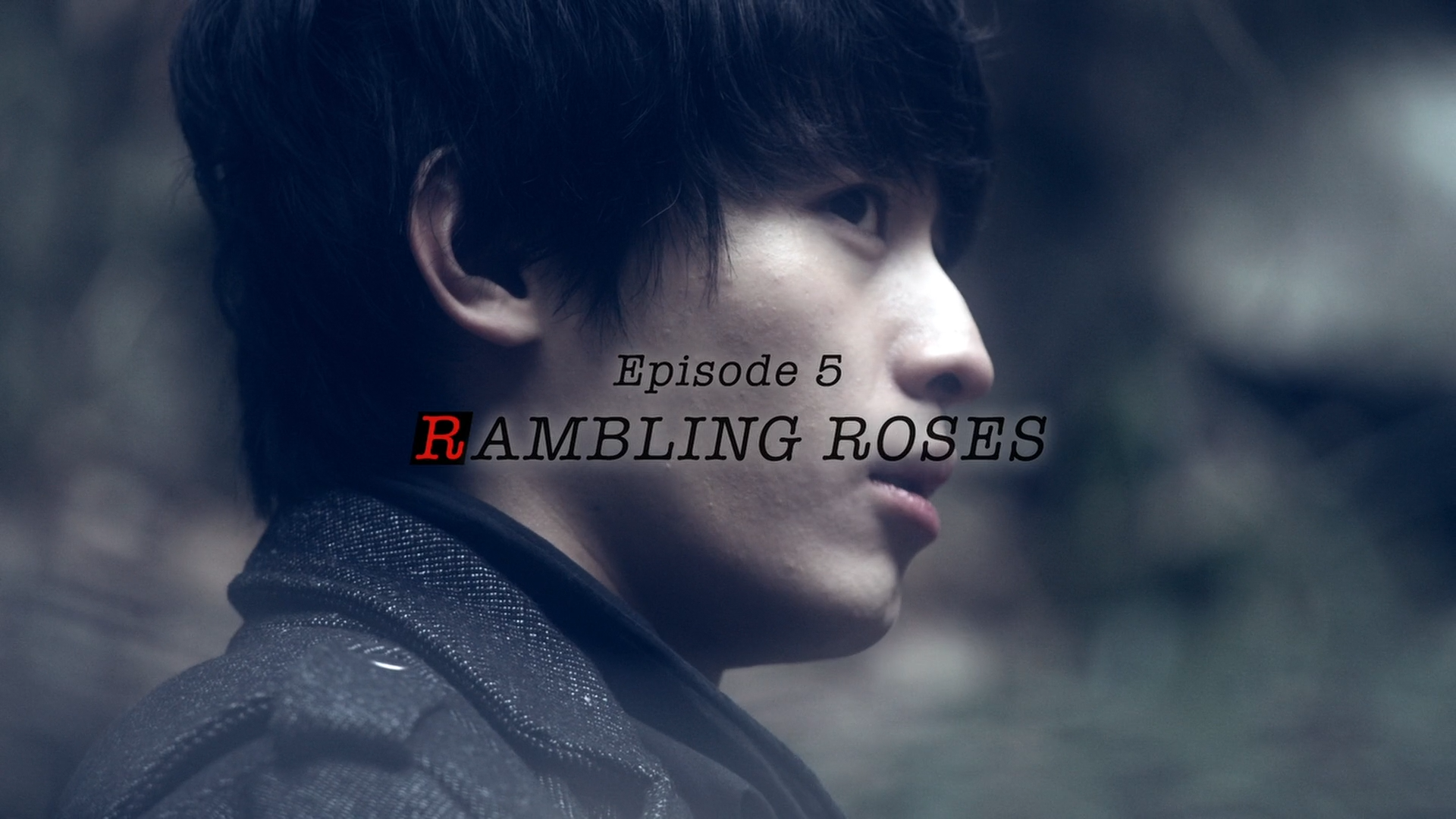 Rambling Roses Kamen Rider Wiki Fandom
