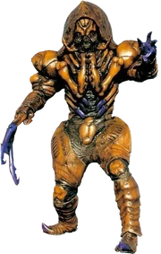 Worm (Pre-molting State)