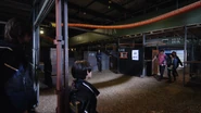 Cargo