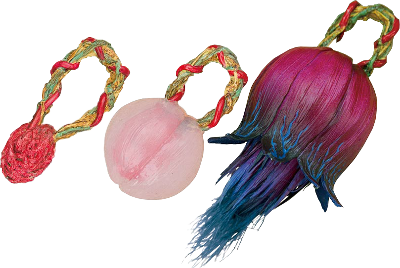 Helheim's Fruits | Kamen Rider Wiki | Fandom