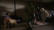 Vlcsnap-2013-09-29-13h49m18s127.jpg