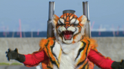 TigerRoidInKRTS.png