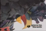 Kaen Condor spelling.png (1.15 MB) Kaen Condor