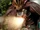 Roidmude 022