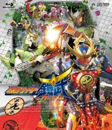 Kamen Rider Gaim Volume 9, Blu-ray cover