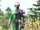 Kamen Rider Bujin Double