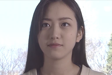 Ultraman x Kamen Rider x Super Sentai x Metal Hero x Tomica