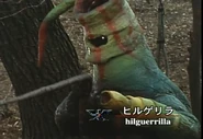 Hilguerrilla spelling.png (1.39 MB) Hilguerrilla