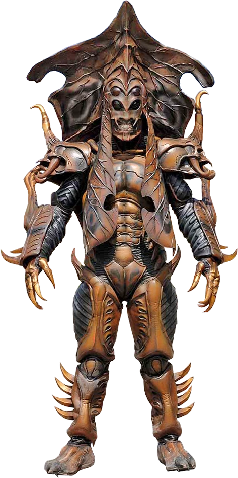 景子様 Foliatus Worm | Kamen Rider Wiki | Fandom