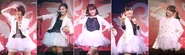 Harp+y 4 with Akari