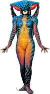 Hydrasect/Arachnida