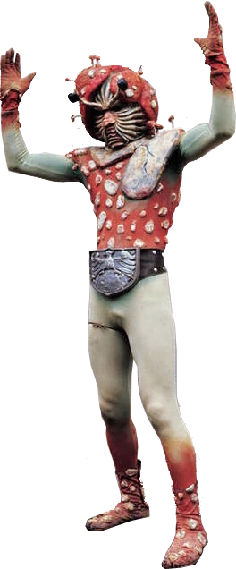 Kinokomorgue | Kamen Rider Wiki | Fandom