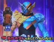 Trial Form (YujouDiamond)