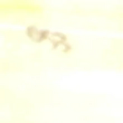 053 Number