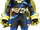 Fever Form
