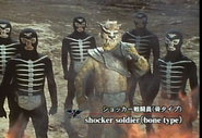 Shocker Soldier (bone type)