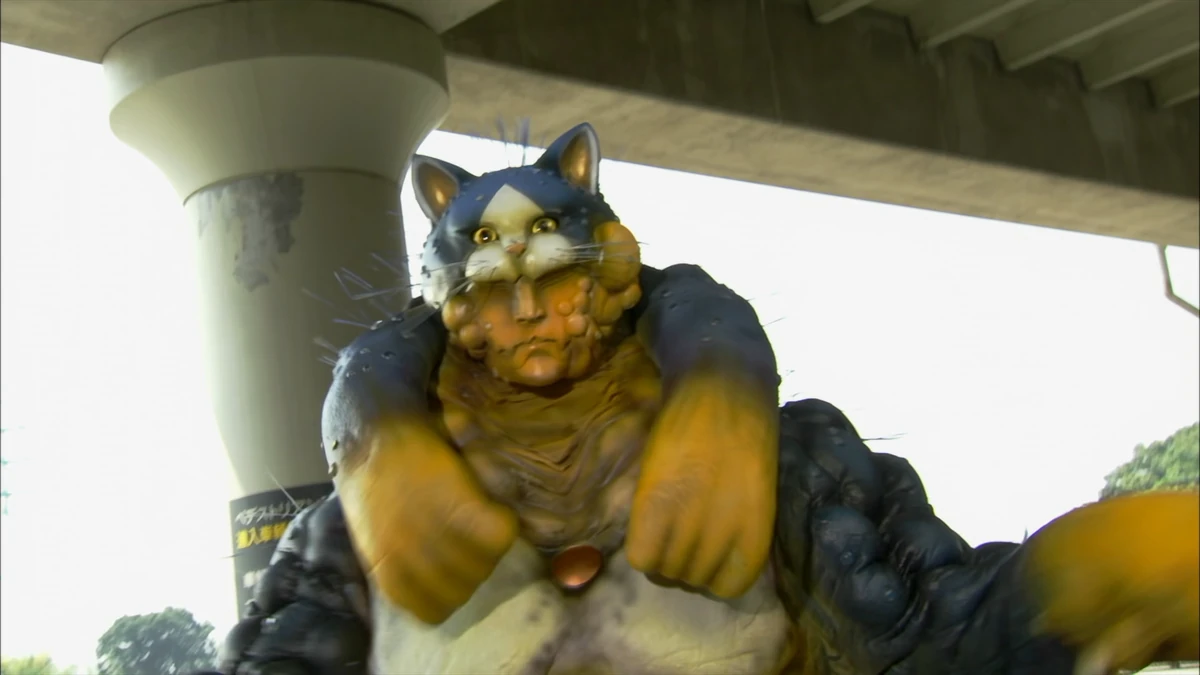 Cat Desiere | Kamen Rider Fan Fiction Wiki | Fandom