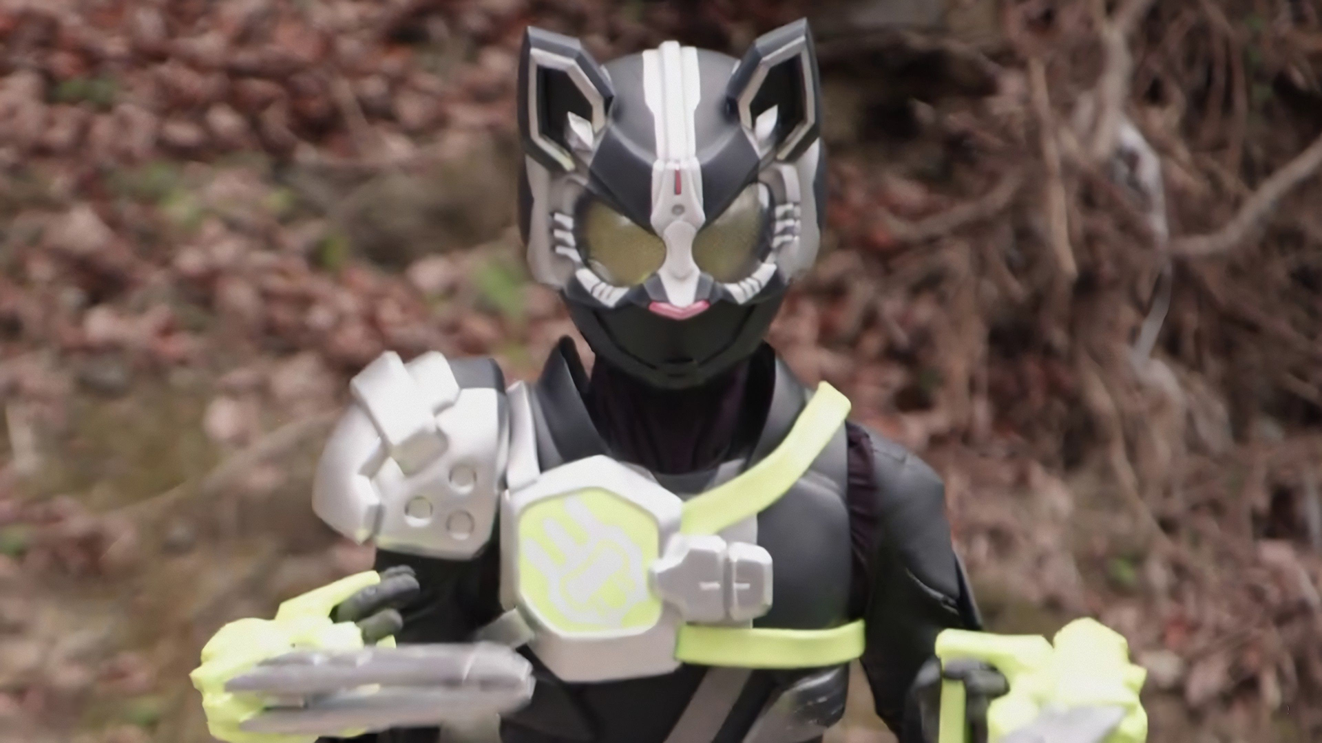 Sarah Parker | Kamen Rider Fan Fiction Wiki | Fandom