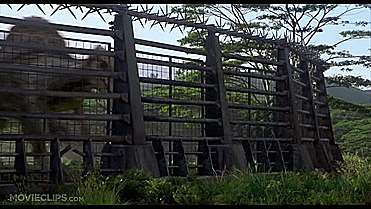 Spino Gif.gif