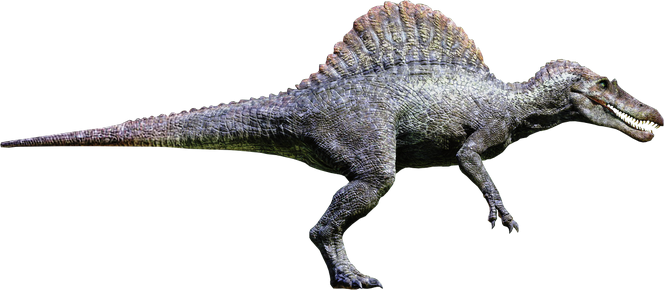 Spinosaurus Aegiptiacus 