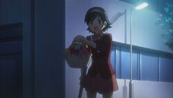 Ayumi with Keima's fuitbasket