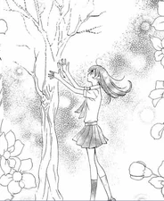 Nanami purificando un árbol de la escuela.