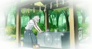 How Old and Tall Is Tomoe from 'Kamisama Kiss?