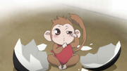 Mamoru hatch from his egg
