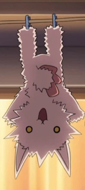 アニメ Nekobserver Lampcat Electrocuted Wildcat | Kampfer HQ Wiki | Fandom