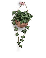 Little foliage plant
