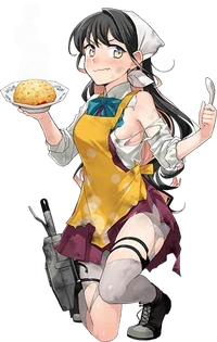 Naganami Fried Rice Full Damaged
