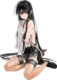 Shouhou Rainy Damaged