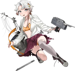 Akishimo Full Damaged