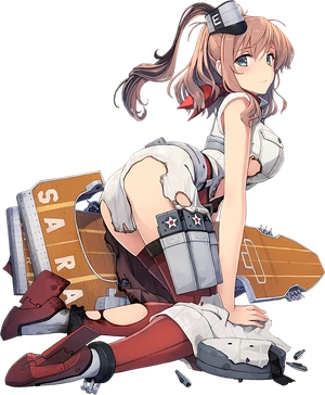 Saratoga Full Damaged