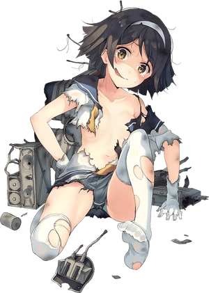 Tanikaze Full Damaged