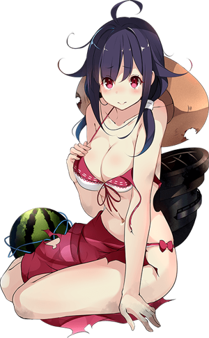 Ryuuhou Summer Full Damaged