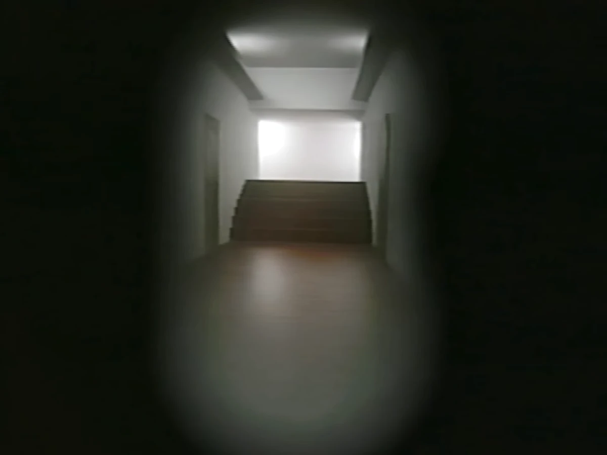 Area 6 Kane Pixels Backrooms Wiki Fandom