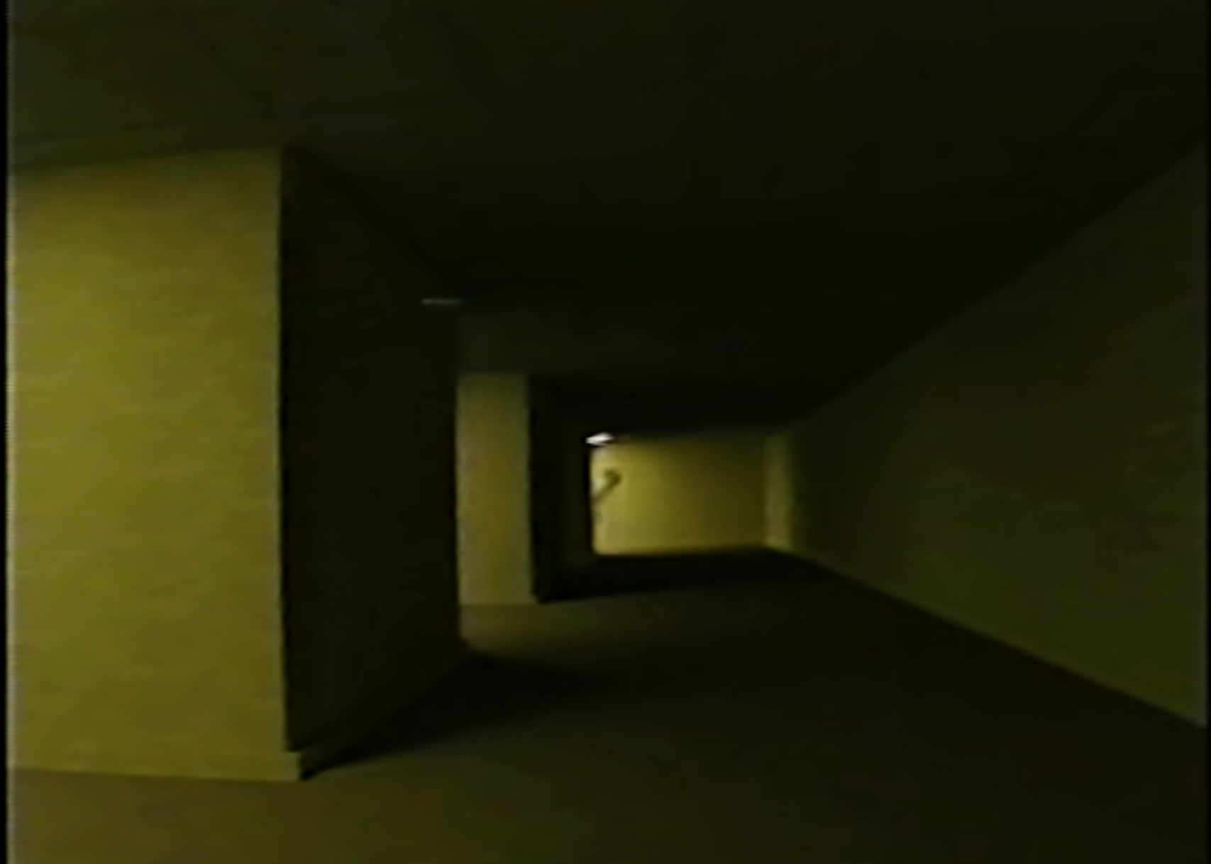 What If A Kid Kill A Entity In The Backrooms - Found Footage