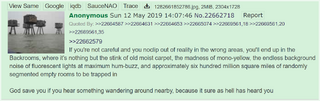 A screenshot of the original post from 4chan which inspired the Backrooms, featuring an image of the 