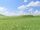 Meadow Outland Steppes