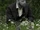 Julien Reverchon