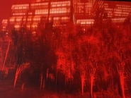 An image of a red city resembling the neighborhood from Pitfalls was posted on Kane's Discord, shortly being deleted after