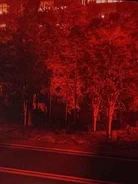 Another image of the red city