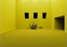 An image of the body.