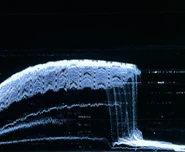 A teaser posted by A24 with the caption "Everything must go."