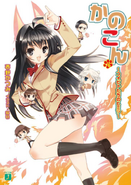 Light Novel Volume 8