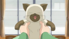 Piro | Kanon Wiki | Fandom
