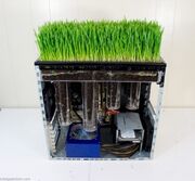 Bio-Computer-Grass.jpg