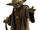 Yoda's species